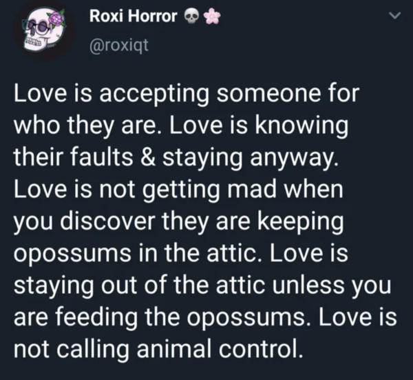 Oddly Specific - Love is accepting someone for who they are. Love is knowing their faults & staying anyway.