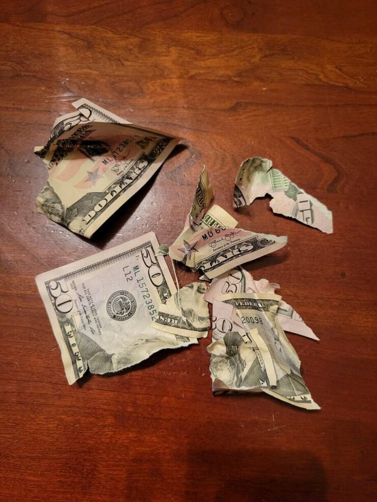 moments life sucked -  money torn up by dogs - Rely Th Doliates Or Ml L127238 B For All Forn And were bea of 50