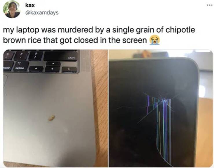 moments life sucked -  Laptop - kax my laptop was murdered by a single grain of chipotle brown rice that got closed in the screen # option