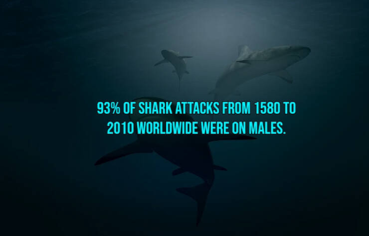 13 Bloody Facts About Shark Attacks.