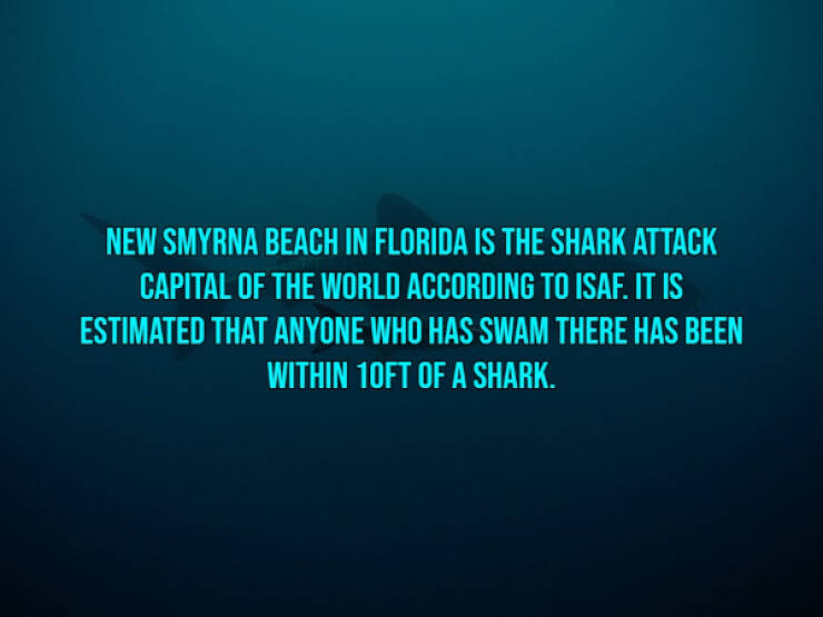 13 Bloody Facts About Shark Attacks.