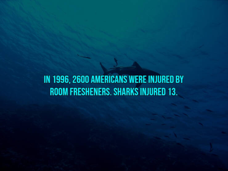 13 Bloody Facts About Shark Attacks.