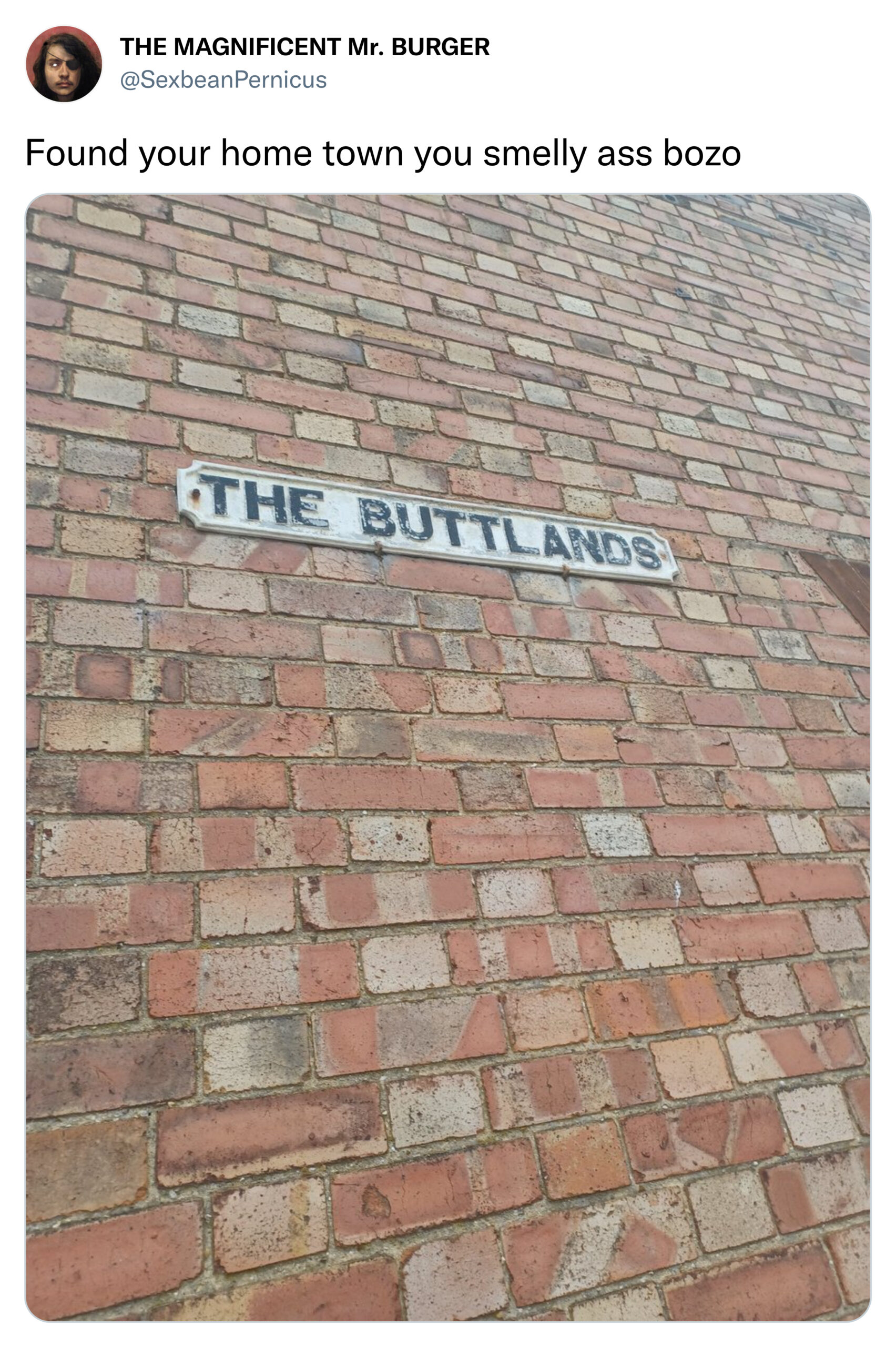 funny tweets and memes -  brickwork - The Magnificent Mr. Burger Found your home town you smelly ass bozo The Buttlands