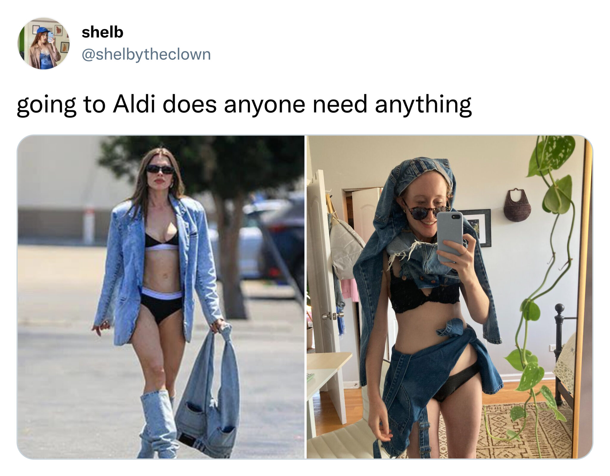 funny tweets and memes -  shoulder - shelb going to Aldi does anyone need anything