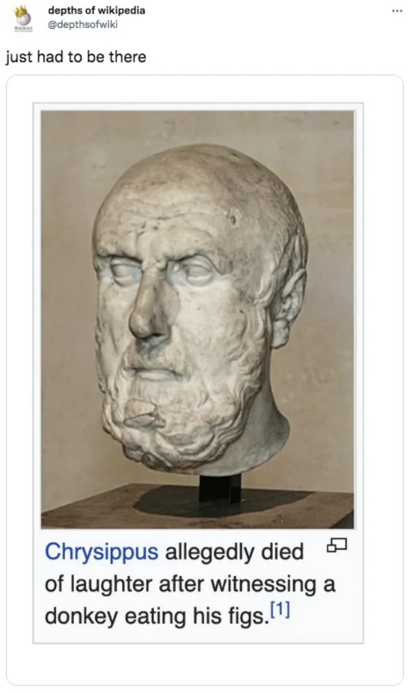 funny tweets and memes -  chrysippus allegedly died of laughter - depths of wikipedia Sam just had to be there Chrysippus allegedly died of laughter after witnessing a donkey eating his figs.1