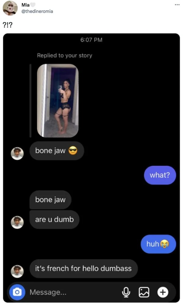 funny tweets and memes -  screenshot - ?!? Mia Replied to your story bone jaw bone jaw are u dumb it's french for hello dumbass O Message... what? huh 11.8
