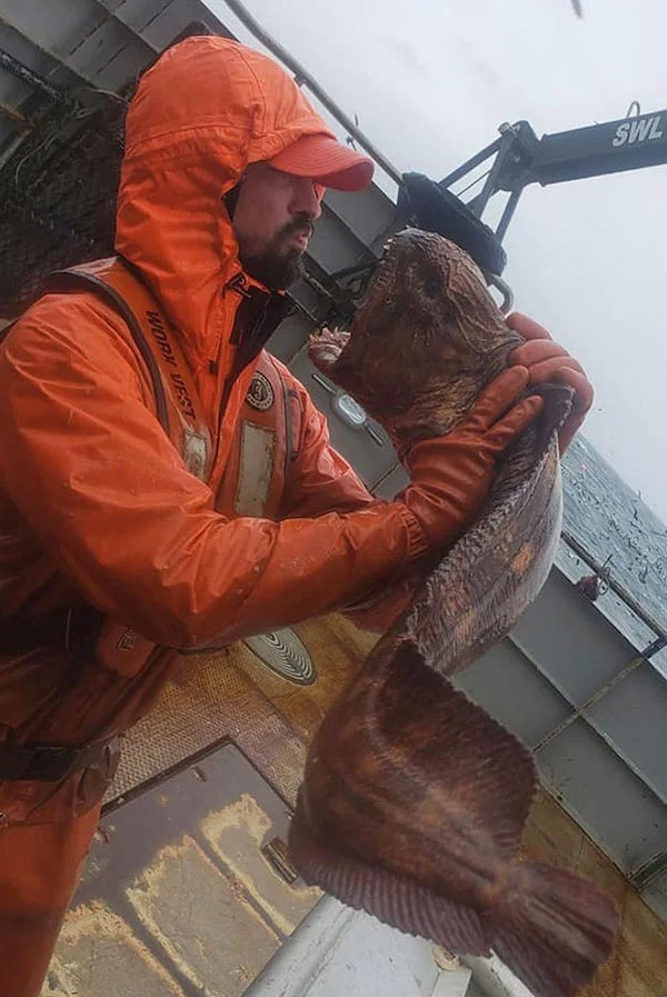 scary nature - fisherman holding wolf eel - U Swl Work Vest