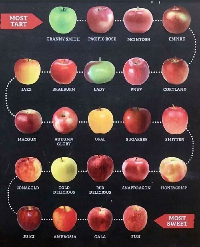 Food Charts and Graphs - sweetest apple