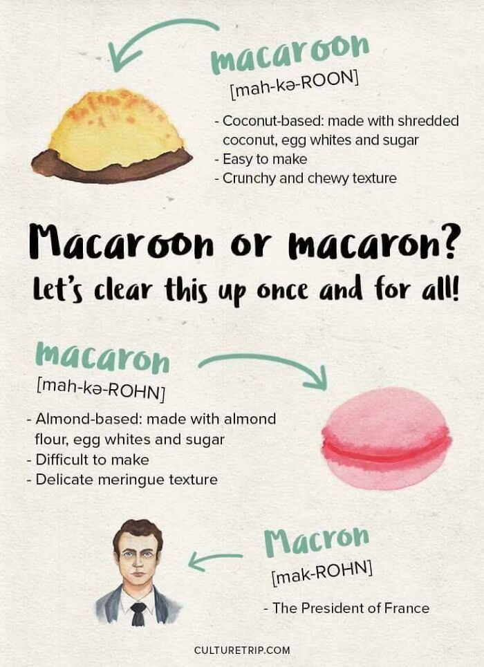 Food Charts and Graphs - macaroon vs macaron