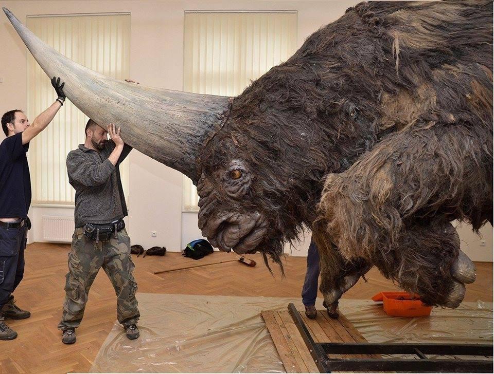 A Prehistoric Elasmotherium. Also know as a Siberian unicorn.extinct 39000 years ago