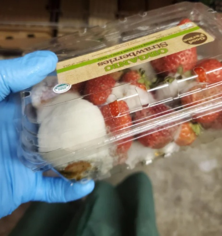 “2 weeks of telling my boss the produce in the warehouse is going bad — Him: ’Don’t worry about it.’”