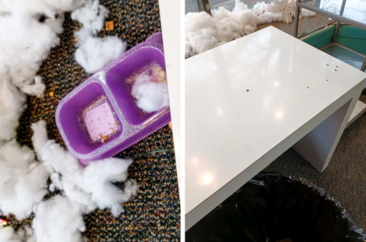 “We have a squirrel in the ceiling at work, and my boss keeps leaving food and water out for it instead of trying to get it out.” “Guess who gets to clean its droppings every morning.”