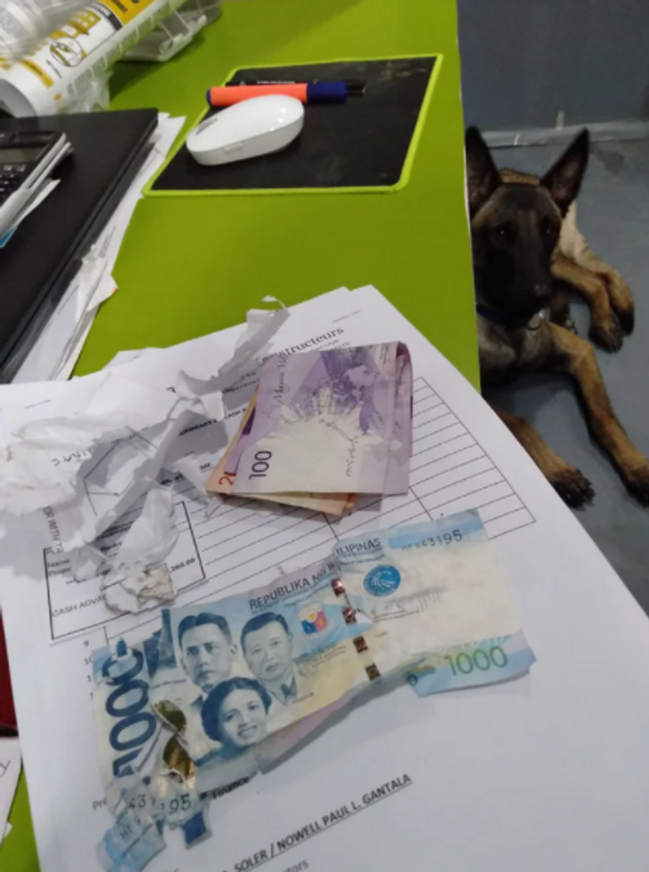 “Boss’s dog tried to eat my co-worker’s paycheck.”