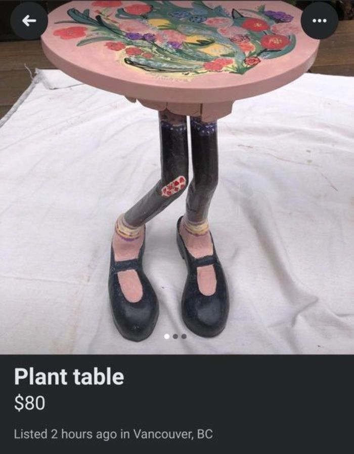 Weird Things Being Sold Online - Plant table $80