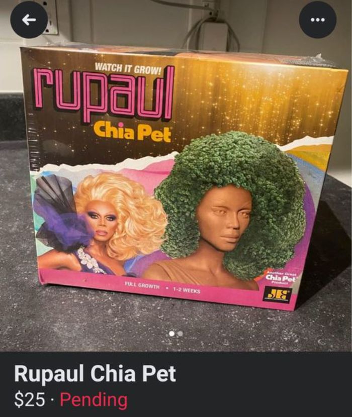 Weird Things Being Sold Online - hair coloring - Watch It Grow! Pu al Chia Pet Full Growth 12 Weeks Rupaul Chia Pet $25. Pending Another Great Chia Pet