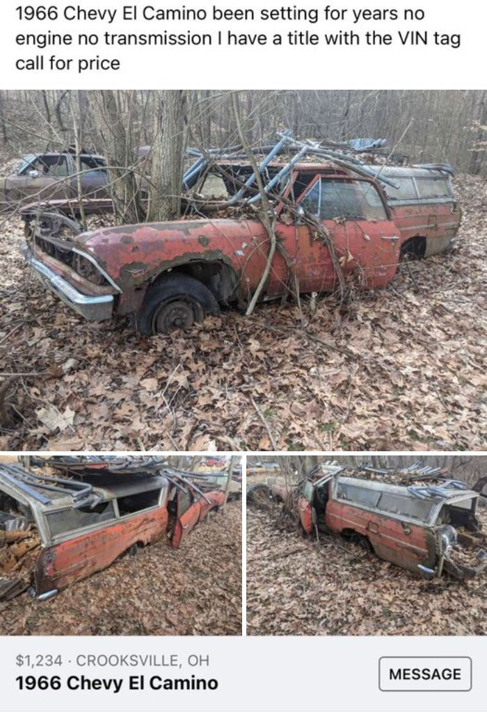 Weird Things Being Sold Online - scrap - 1966 Chevy El Camino been setting for years no engine no transmission I have a title with the Vin tag call for price $1,234