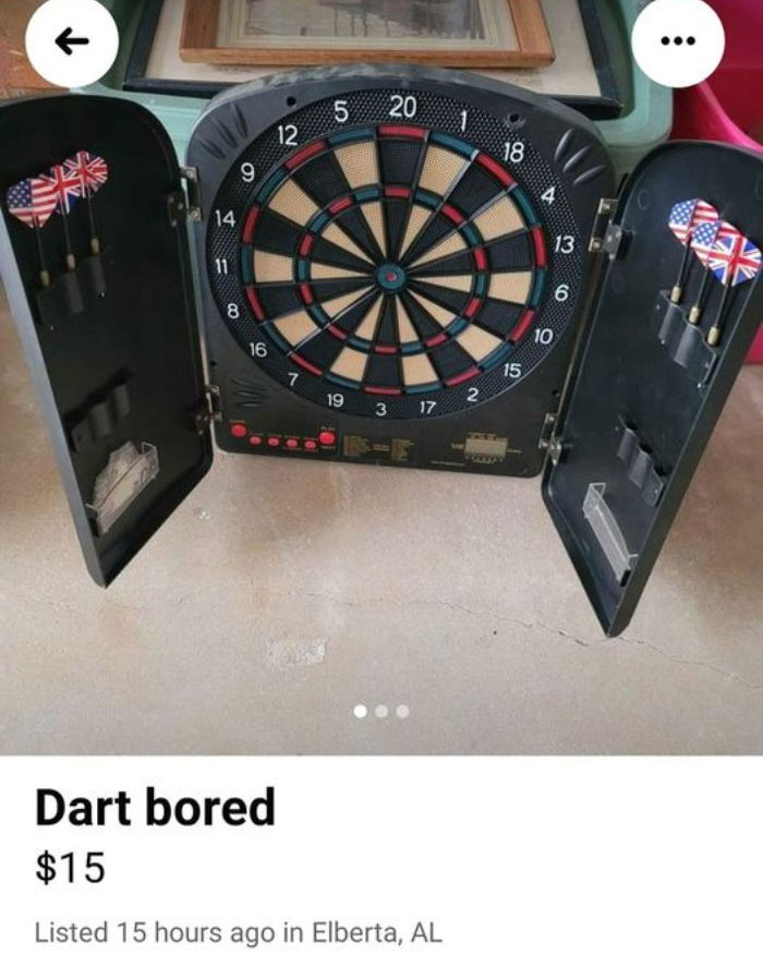 Weird Things Being Sold Online - Dart bored $15