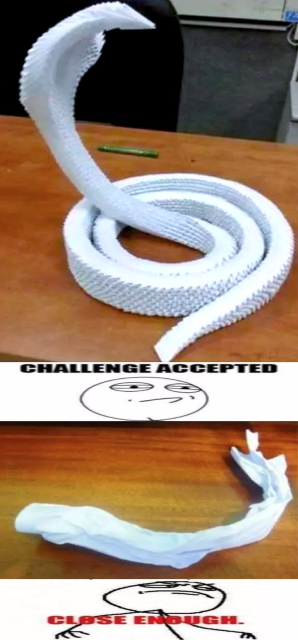 funny memes - dank memes - make snake with paper - Challenge Accepted Ga e G Close Enough. F