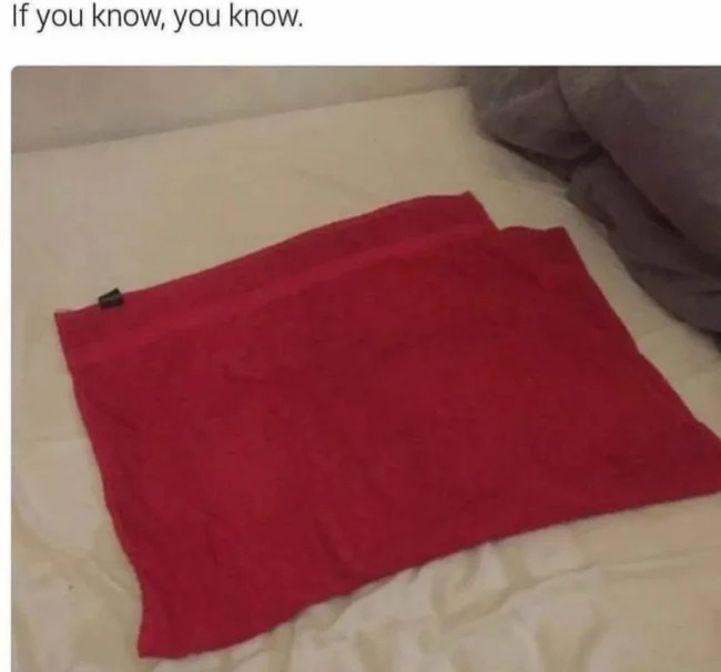 sex memes - cushion - If you know, you know.