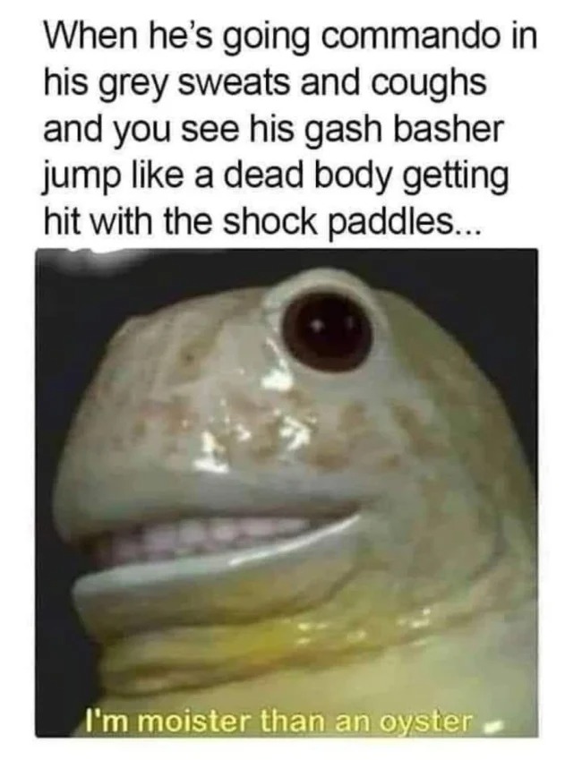 sex memes - moister than an oyster - When he's going commando in his grey sweats and coughs and you see his gash basher jump a dead body getting hit with the shock paddles... I'm moister than an oyster