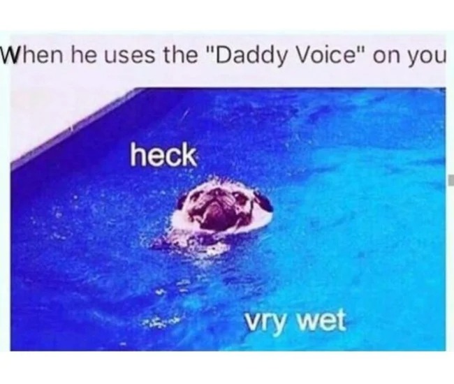 sex memes - heck very wet meme - When he uses the "Daddy Voice" on you heck vry wet