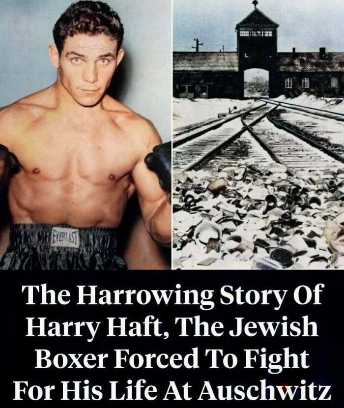 weird and wtf facts - Auschwitz concentration camp - Panamarevert Ast The Harrowing Story Of Harry Haft, The Jewish Boxer Forced To Fight For His Life At Auschwitz