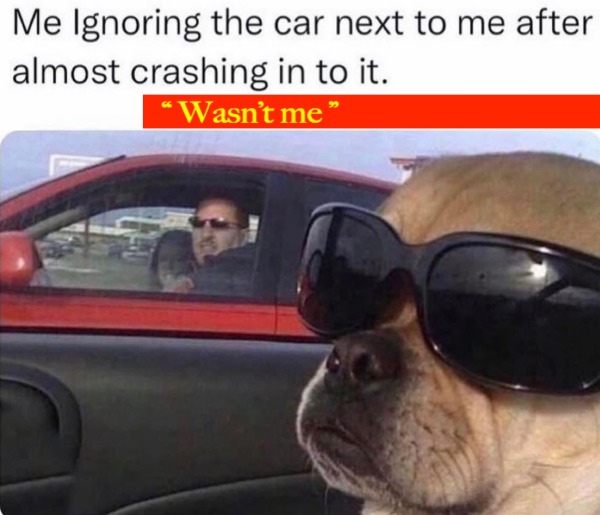 40 Memes That Might Be Too True.