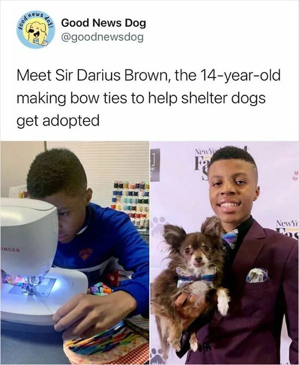 wholesome posts - good news - photo caption - news Good News Dog Meet Sir Darius Brown, the 14yearold making bow ties to help shelter dogs get adopted New Yo me Inger New Yo