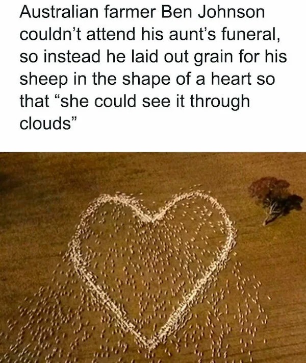 wholesome posts - good news - love - Australian farmer Ben Johnson couldn't attend his aunt's funeral, so instead he laid out grain for his sheep in the shape of a heart so that "she could see it through clouds"