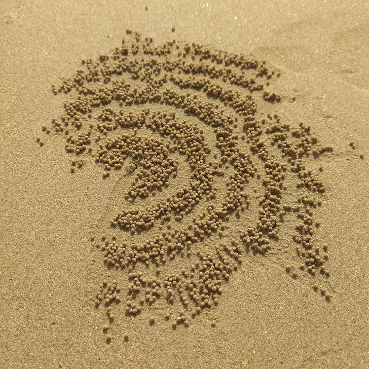 fascinating photos - sand