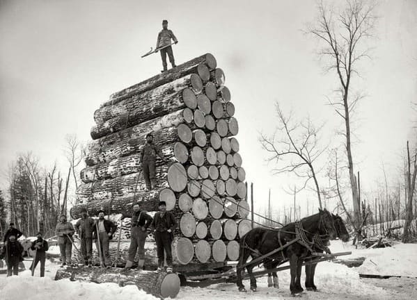pictures from history - Michigan Loggers And Their World-Record Haul Destined For The 1893 Chicago World’s Fair, Circa 1890s