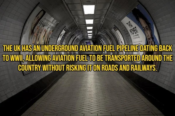 15 Random Facts To Fill Your Head With.