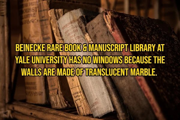 15 Random Facts To Fill Your Head With.