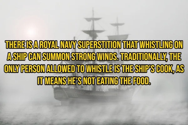 15 Random Facts To Fill Your Head With.