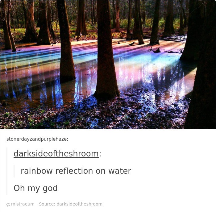 30 Weird Posts From Tumblr.