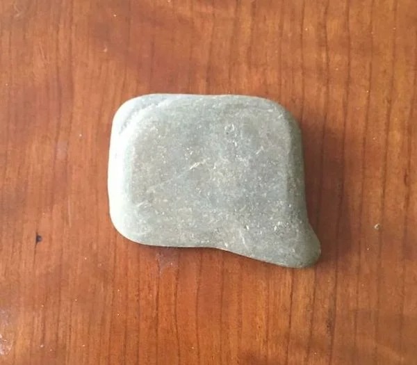 This rock I found looks like a speech bubble.