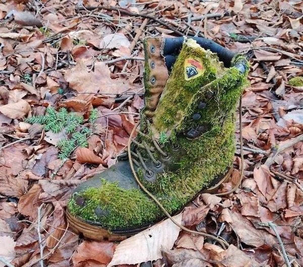 This boot I found in the woods is covered in moss.