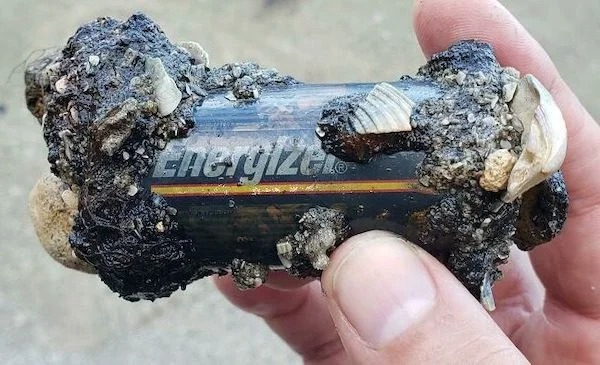 Found this battery at the beach that collected minerals and debris at the ends.