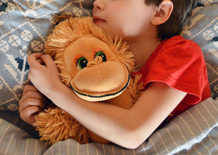 unbelievable facts - 34 percent of adults and 75 percent of children sleep with a stuffed animal or a blanket, or other sentimental object as their comfort object.