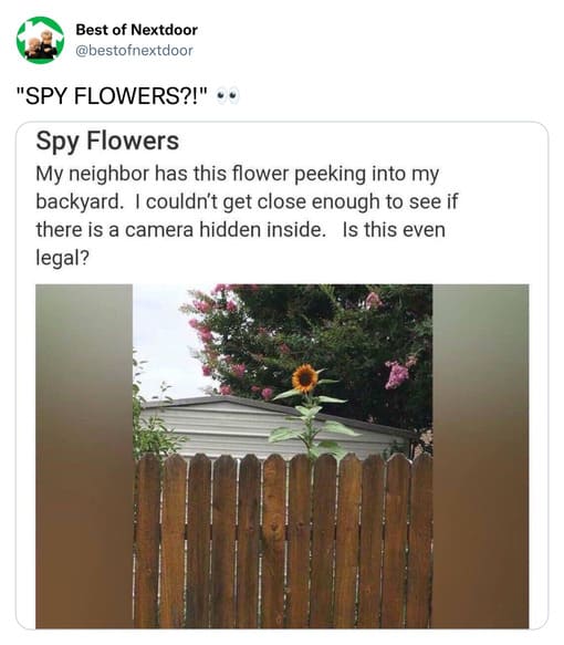unhinged nextdoor app posts - spy flowers - Best of Nextdoor "Spy Flowers?!".. Spy Flowers My neighbor has this flower peeking into my backyard. I couldn't get close enough to see if there is a camera hidden inside. Is this even legal?