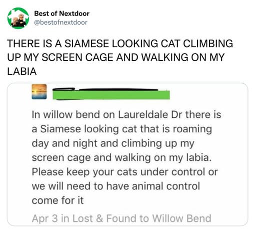 unhinged nextdoor app posts - paper - Best of Nextdoor There Is A Siamese Looking Cat Climbing Up My Screen Cage And Walking On My Labia In willow bend on Laureldale Dr there is a Siamese looking cat that is roaming day and night and climbing up my screen