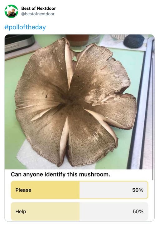 unhinged nextdoor app posts - Best of Nextdoor Can anyone identify this mushroom. Please Help 50% 50%