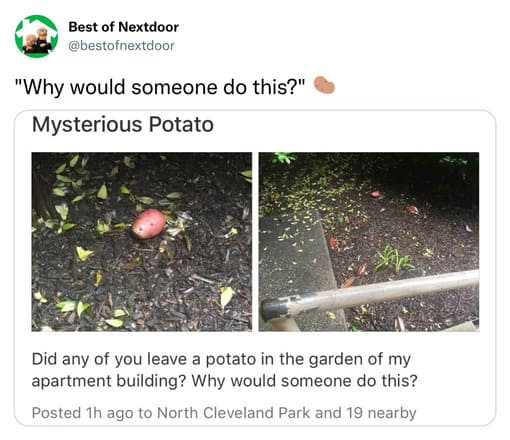unhinged nextdoor app posts - grass - Best of Nextdoor "Why would someone do this?" Mysterious Potato Did any of you leave a potato in the garden of my apartment building? Why would someone do this? Posted 1h ago to North Cleveland Park and 19 nearby