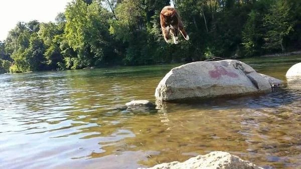 perfectly timed photos -  river