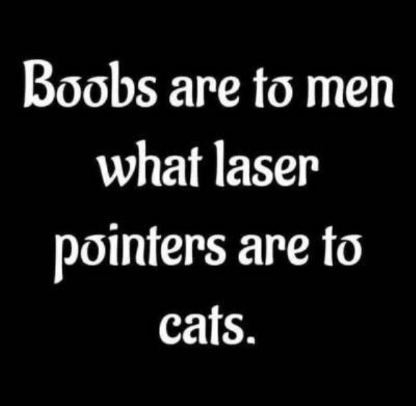 dank memes - dirty memes - boobs are to men what laser pointers - Boobs are to men what laser pointers are to cats.