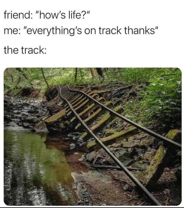 dank memes - dirty memes - friend how's life me everything's on track - friend "how's life?" me "everything's on track thanks" the track