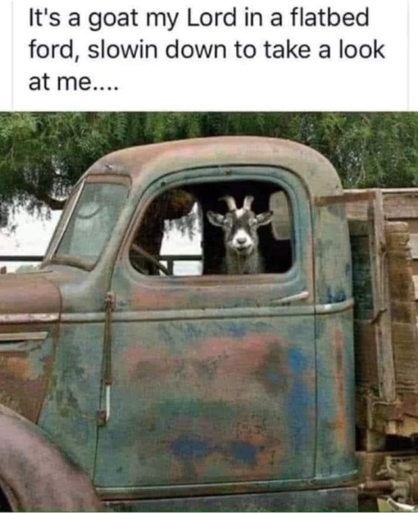 dank memes - dirty memes - it's a goat my lord in a flatbed ford - It's a goat my Lord in a flatbed ford, slowin down to take a look at me....