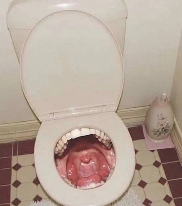 photoshopped pics - toilet bathroom