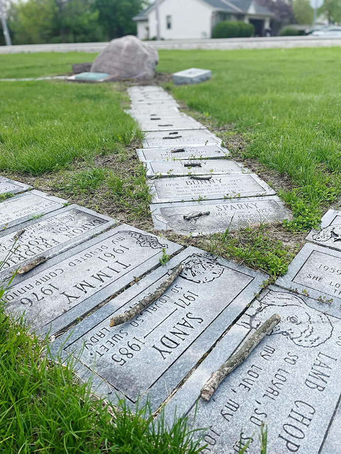 Someone Placed A Small Stick On Each Of The Dog Graves In This Cemetery