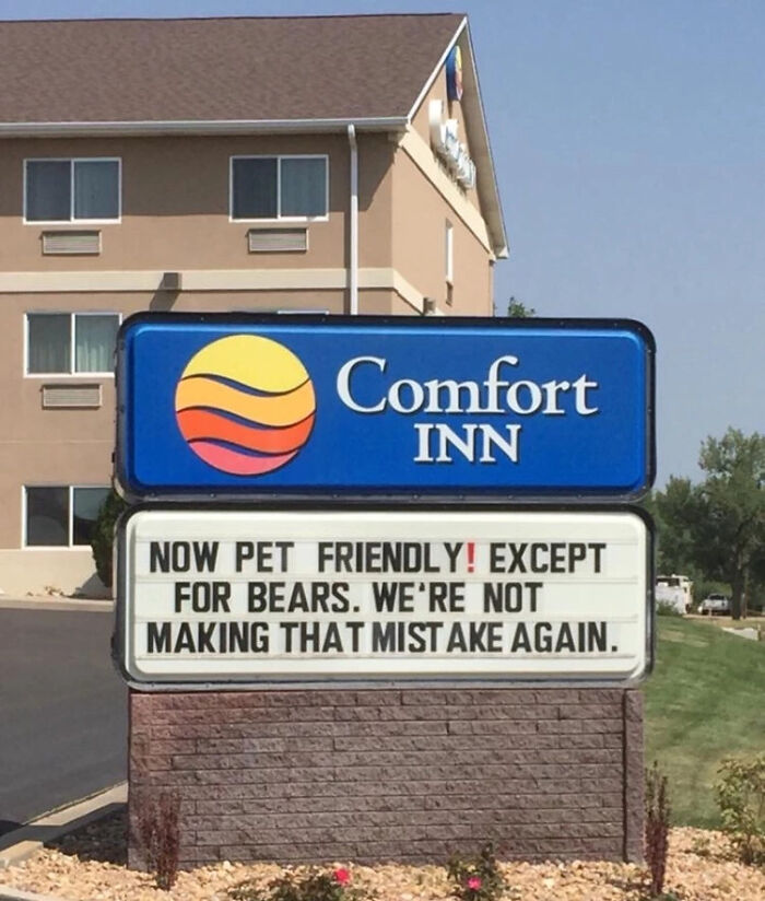 hilarious signs for stupid people - now pet friendly except for bears - Comfort Inn Except Now Pet Friendly! For Bears. We'Re Not Making That Mistake Again.